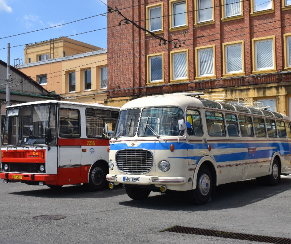 Do naší fotosoutěže dorazily desítky krásných snímků, vybrat vítěze nebylo snadné