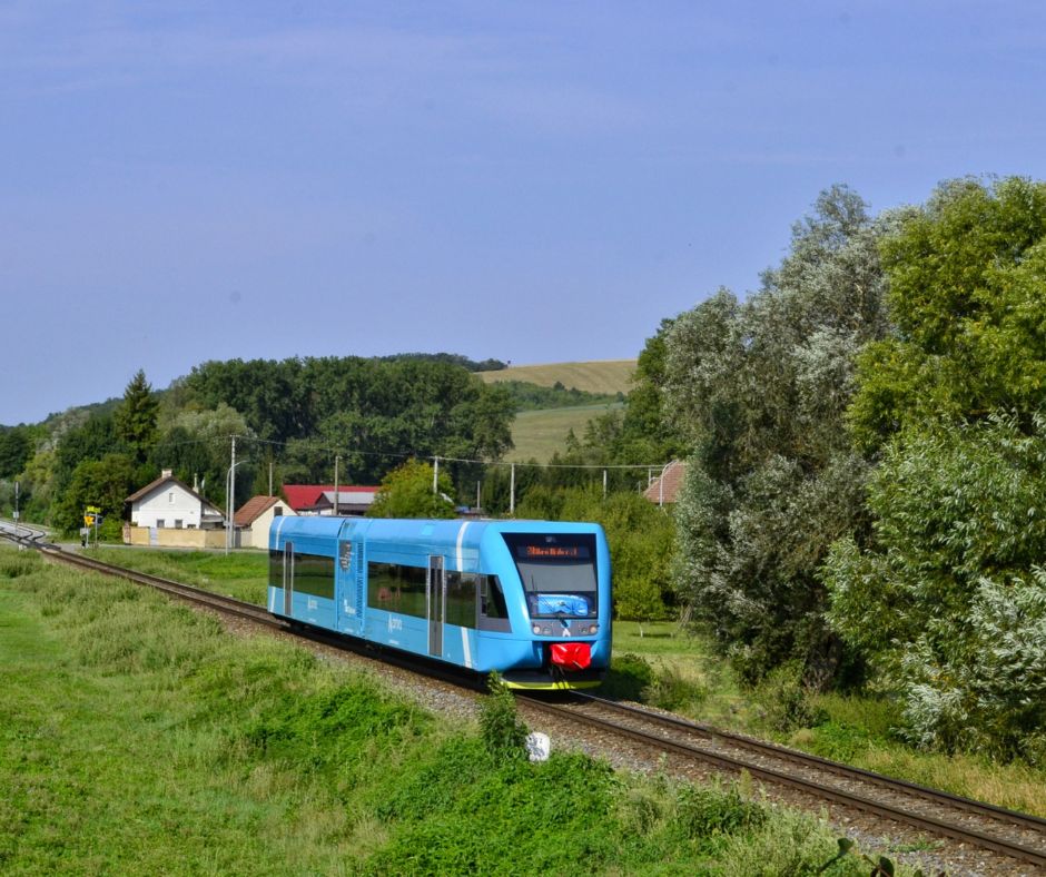 Do naší fotosoutěže dorazily desítky krásných snímků, vybrat vítěze nebylo snadné