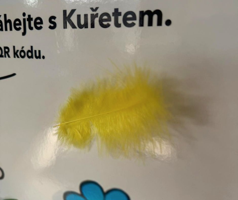 Stali jsme se spojencem sbírky Pomozte dětem, po Čechách jezdí vlak s Kuřetem