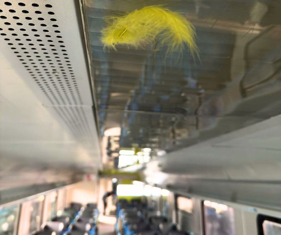 Stali jsme se spojencem sbírky Pomozte dětem, po Čechách jezdí vlak s Kuřetem