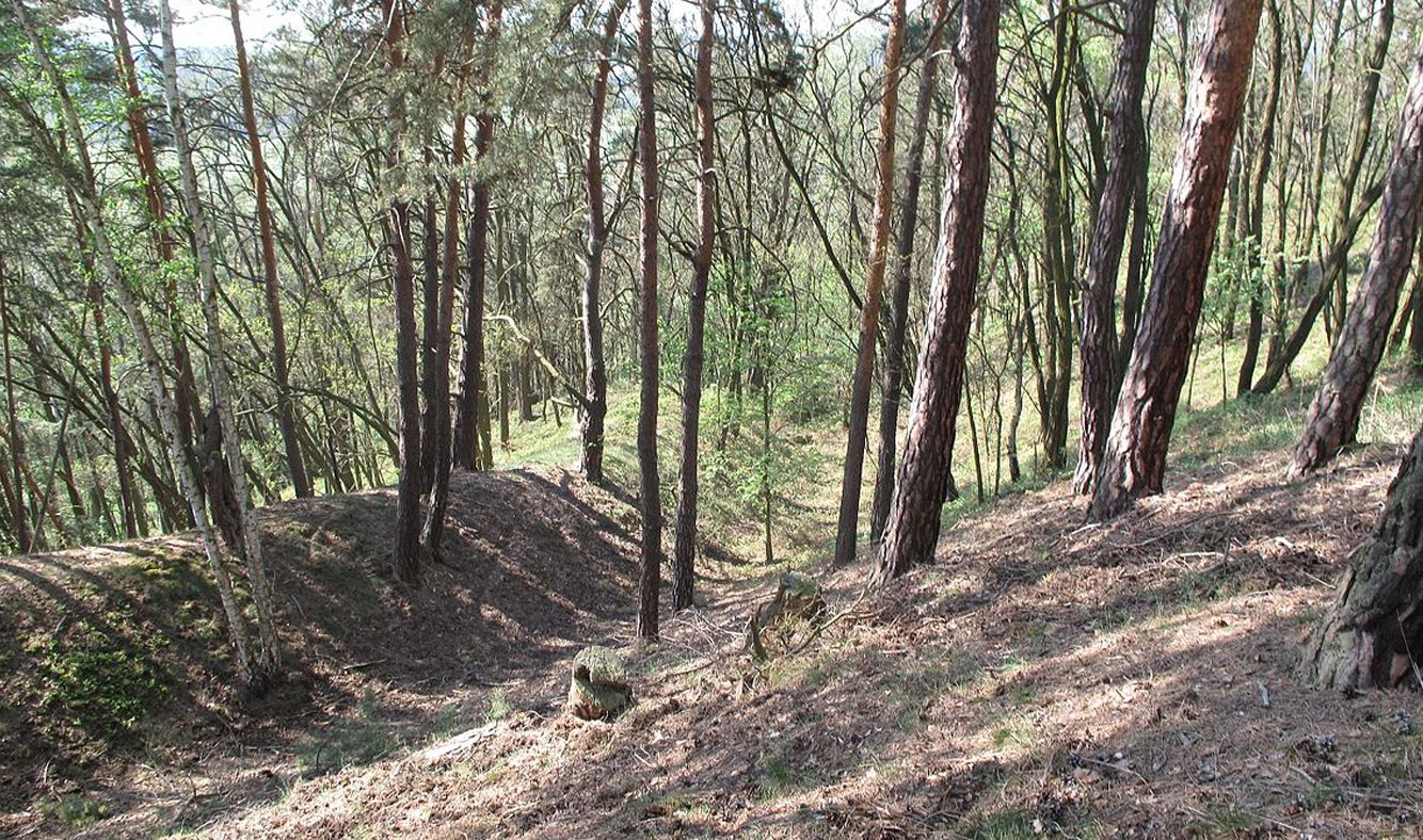 Zřícenina hradu Hlavačov