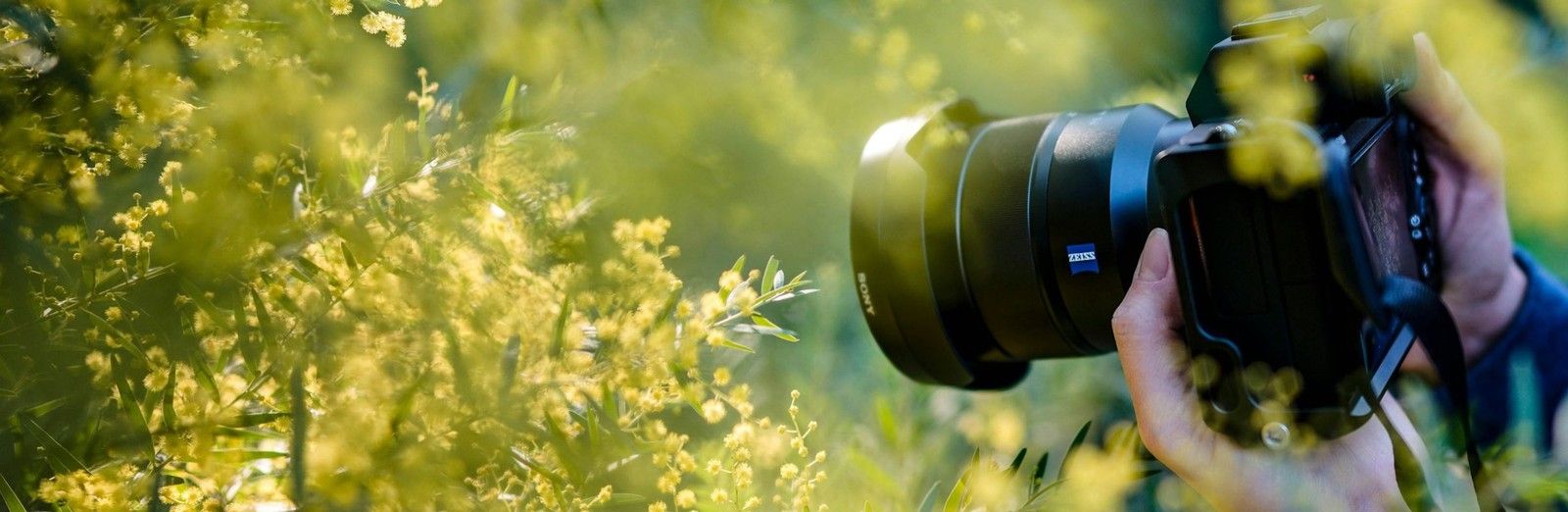 FOTOSOUTĚŽ: Sdílejte s námi nejpovedenější snímky našich vlaků a autobusů